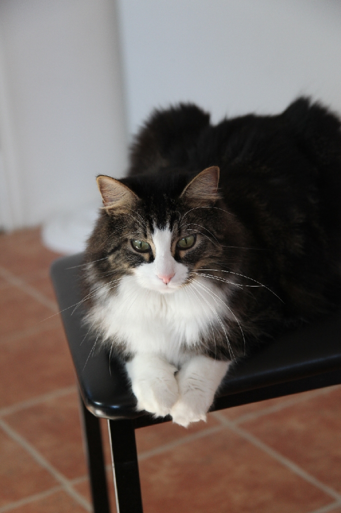 C5D_029654.JPG