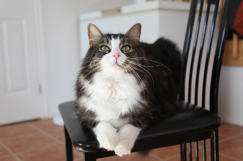 C5D_029655.JPG