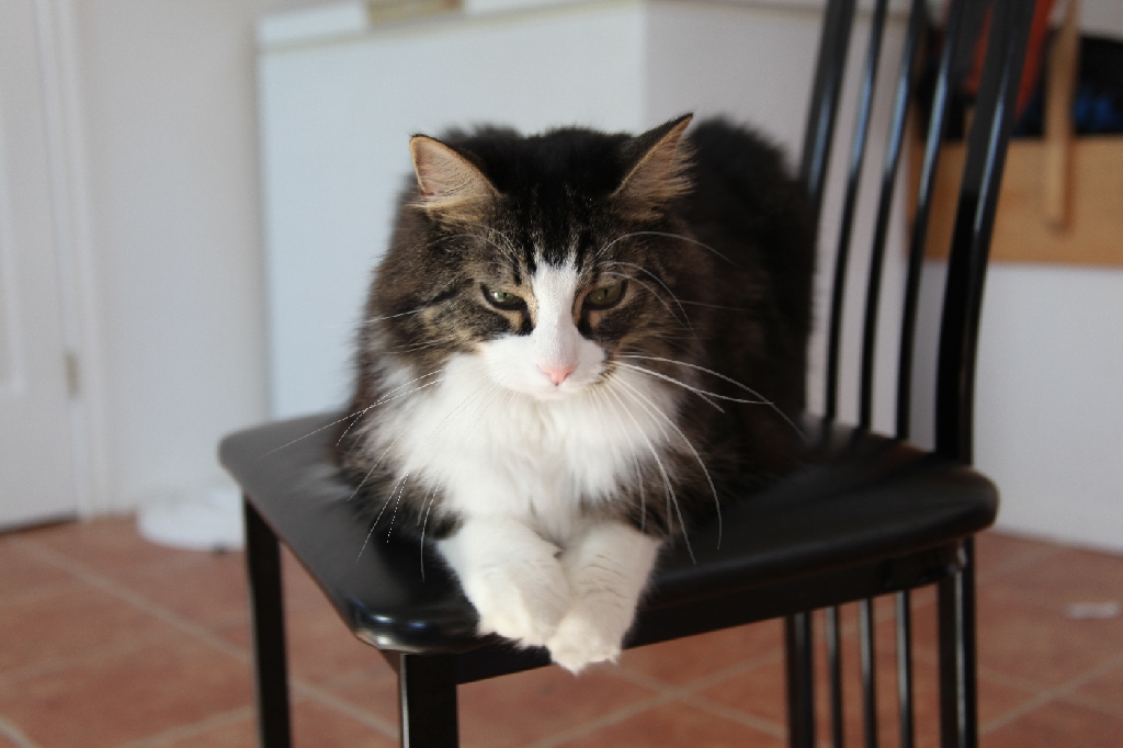 C5D_029656.JPG