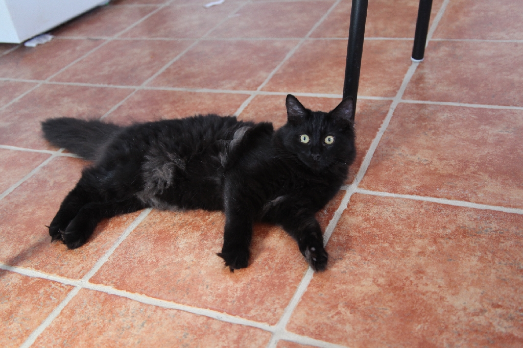 C5D_029661.JPG