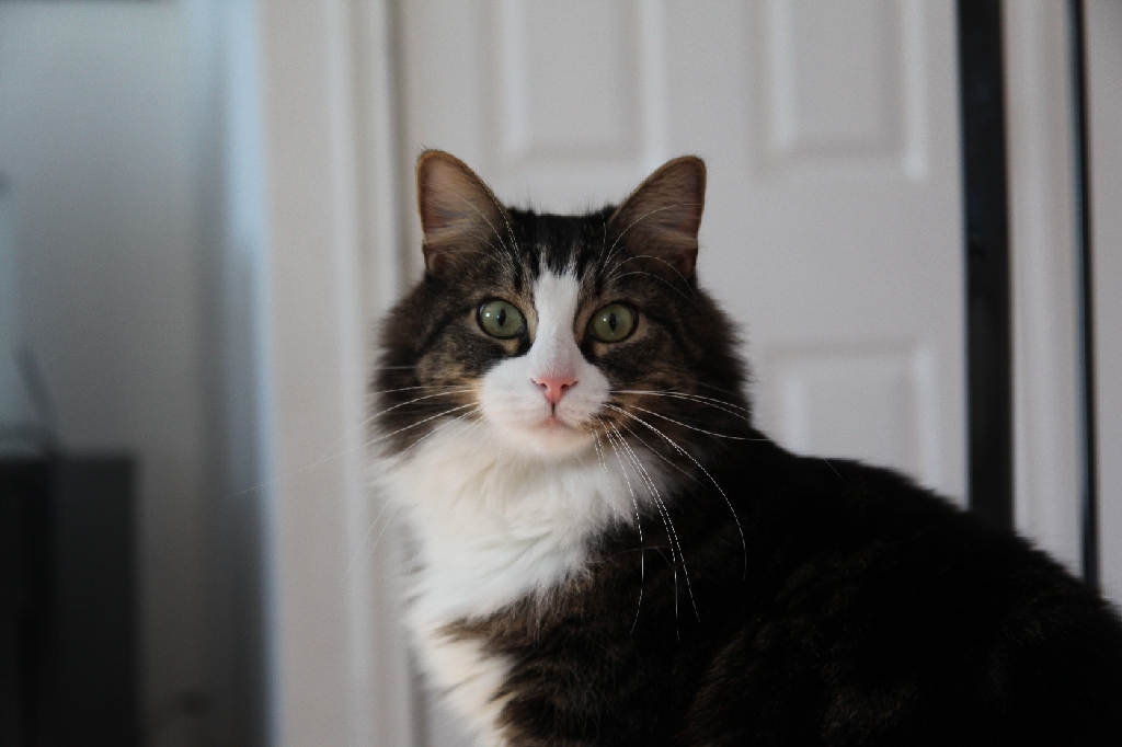C5D_029662.JPG