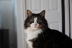 C5D_029662