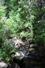 4L4C9386
