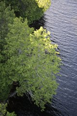 4L4C9446