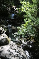 4L4C9482