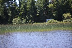 4L4C9550