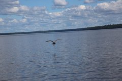 4L4C9622