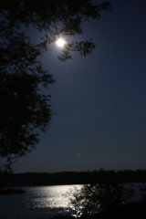 4L4C9863
