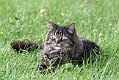 IMG_5473