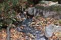 IMG_7675