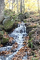 IMG_7680