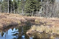 IMG_7681