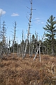 IMG_7682