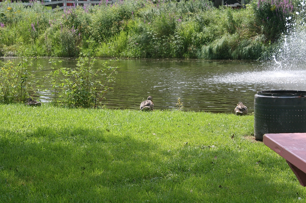 IMG_000001.JPG