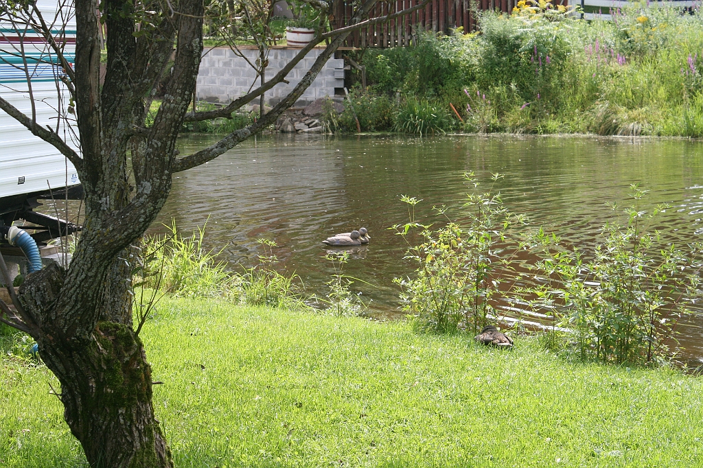 IMG_000002.JPG
