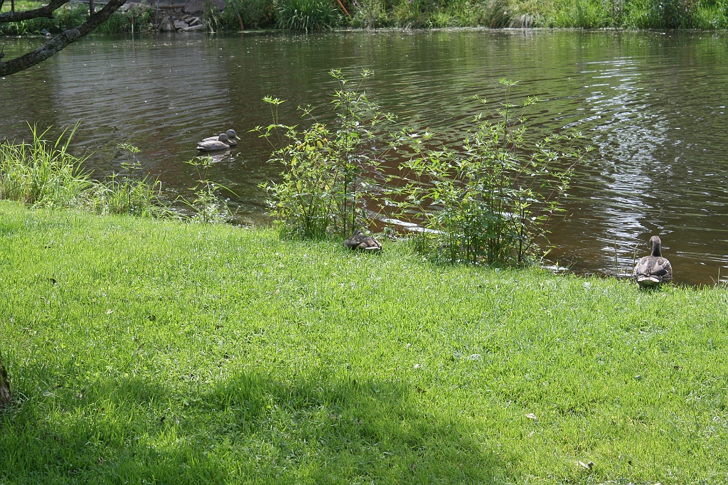 IMG_000003.JPG