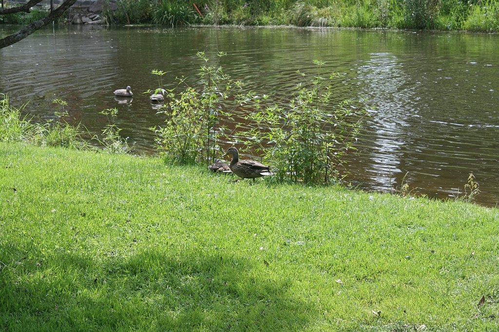 IMG_000004.JPG