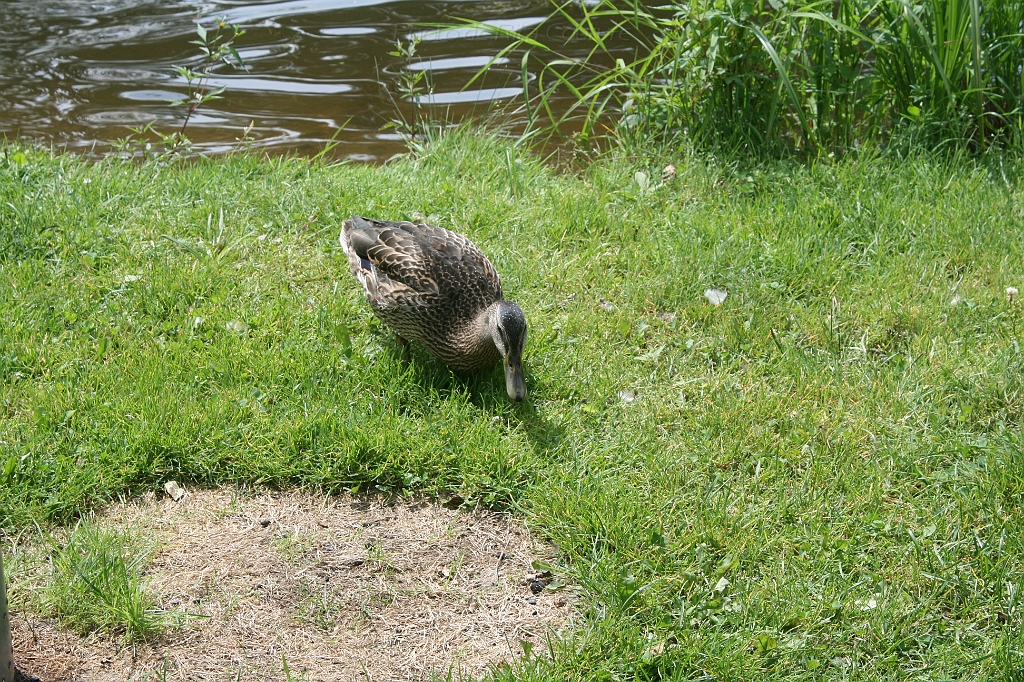 IMG_000013.JPG