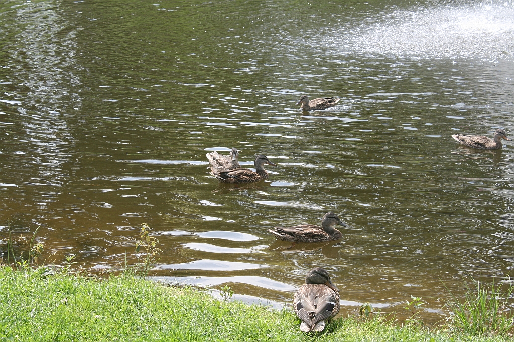 IMG_000015.JPG