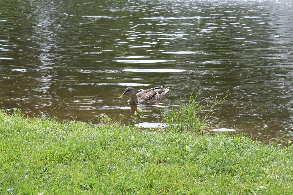 IMG_000024.JPG