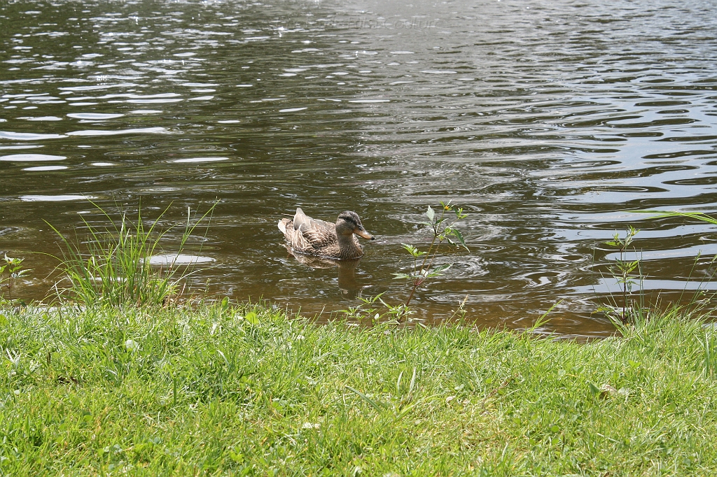IMG_000027.JPG