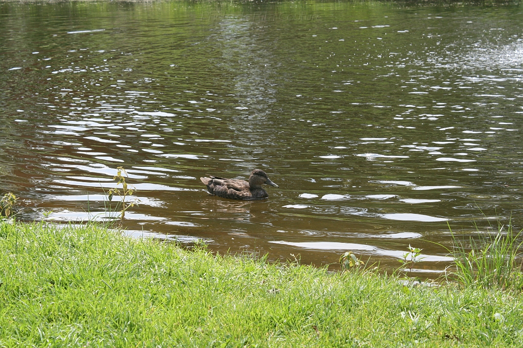 IMG_000028.JPG