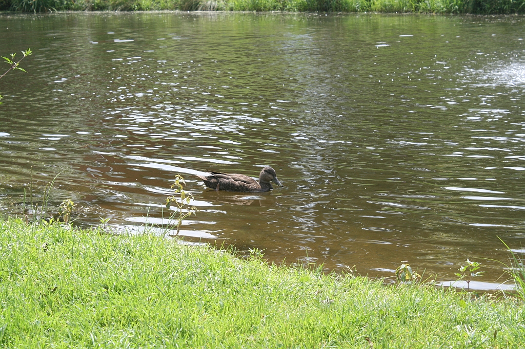 IMG_000031.JPG