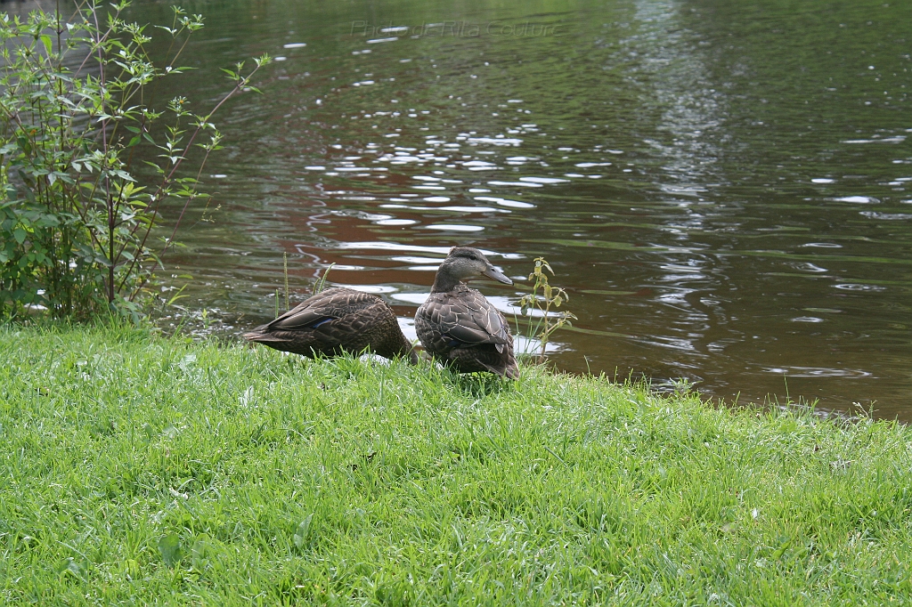 IMG_000038.JPG