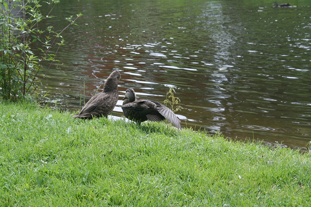 IMG_000039.JPG