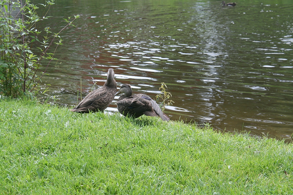IMG_000040.JPG