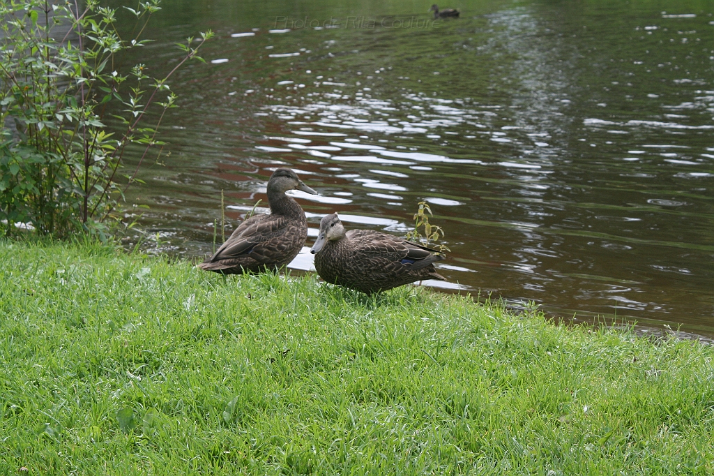 IMG_000041.JPG