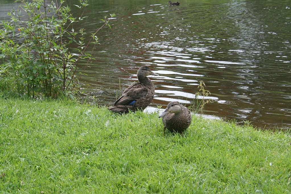 IMG_000042.JPG