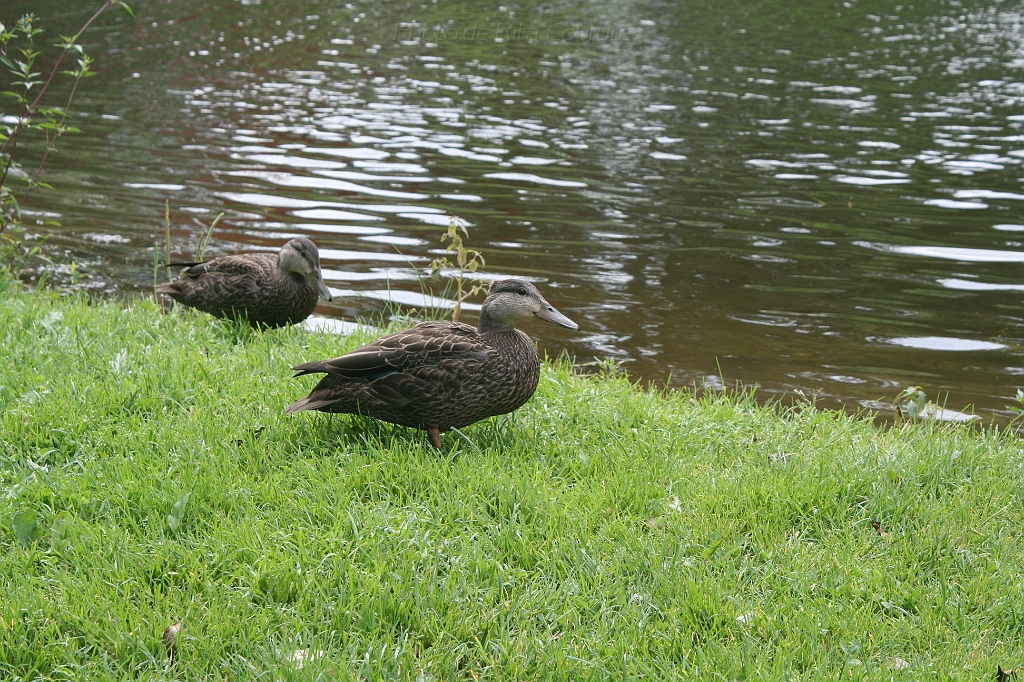 IMG_000044.JPG