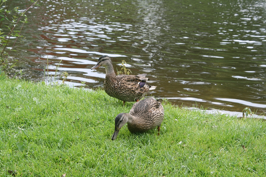 IMG_000053.JPG