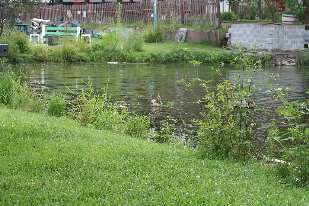 IMG_000060.JPG