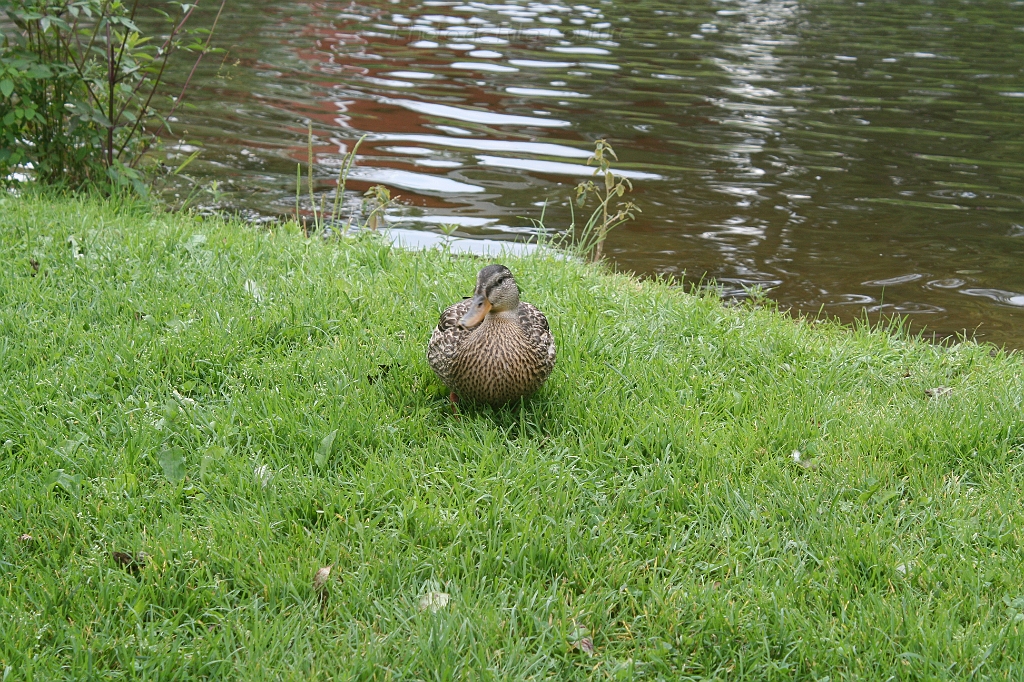 IMG_000067.JPG