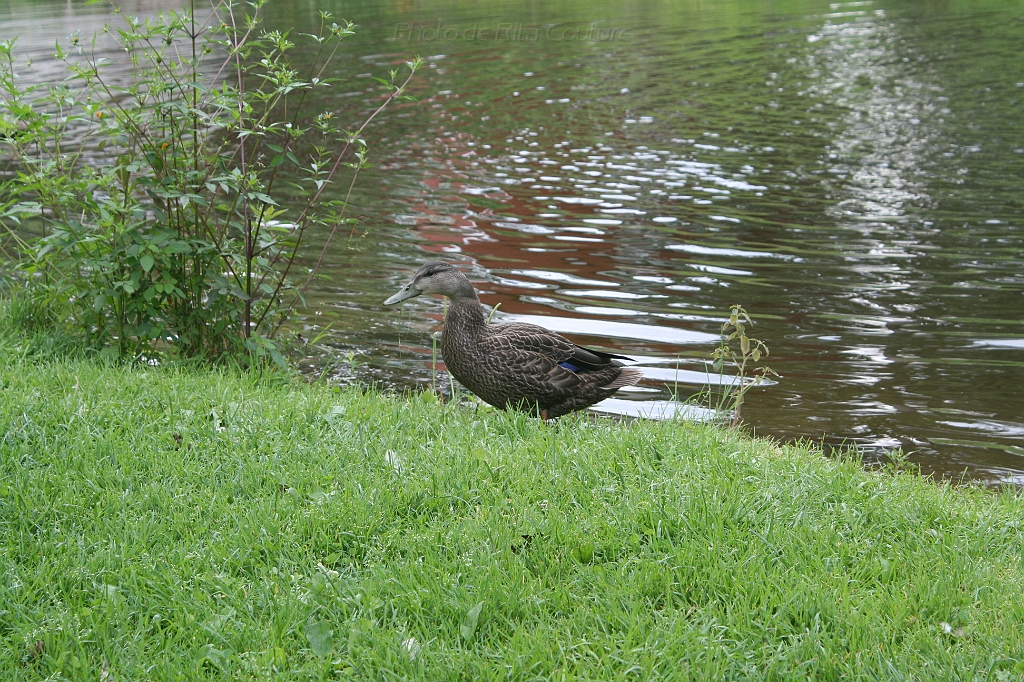 IMG_000069.JPG