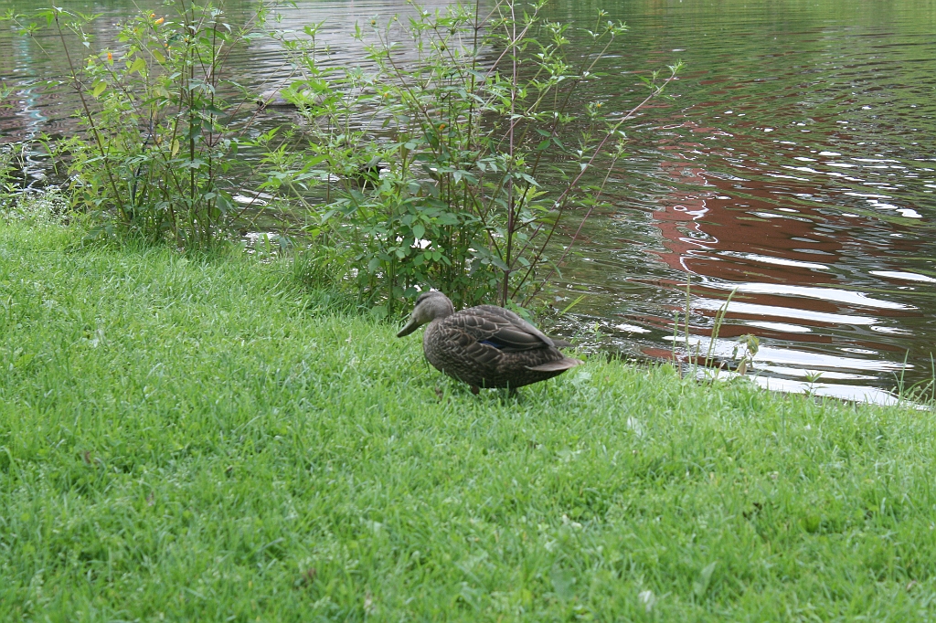 IMG_000070.JPG