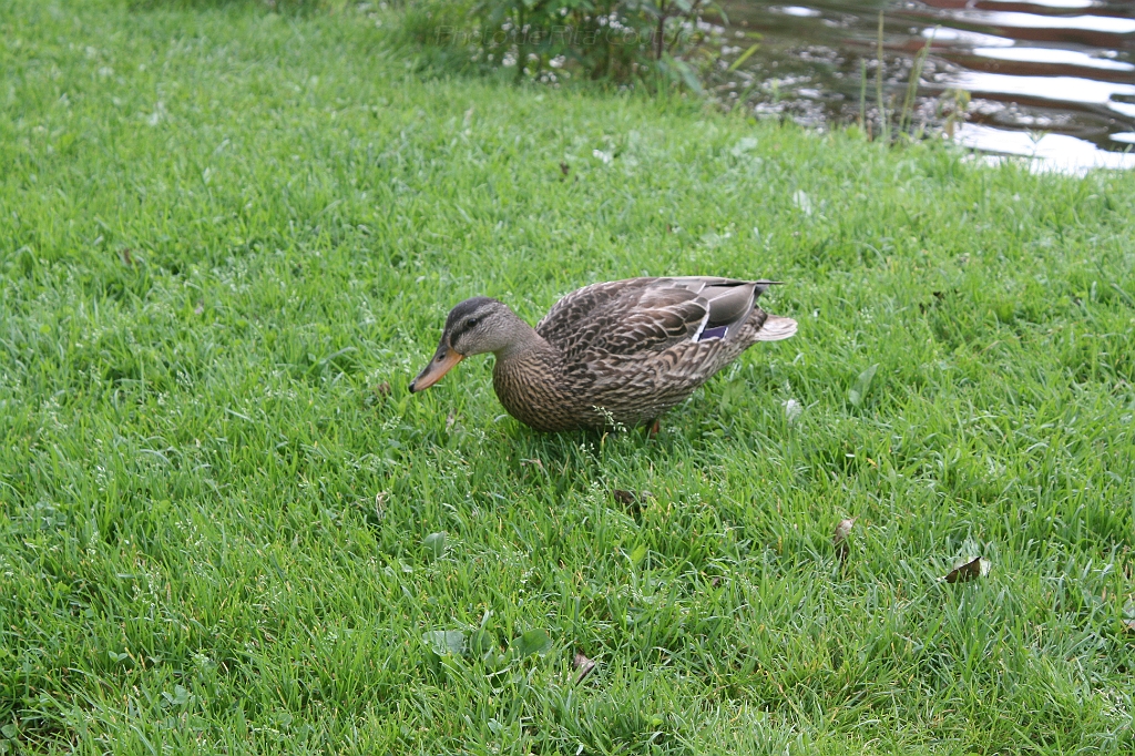 IMG_000073.JPG