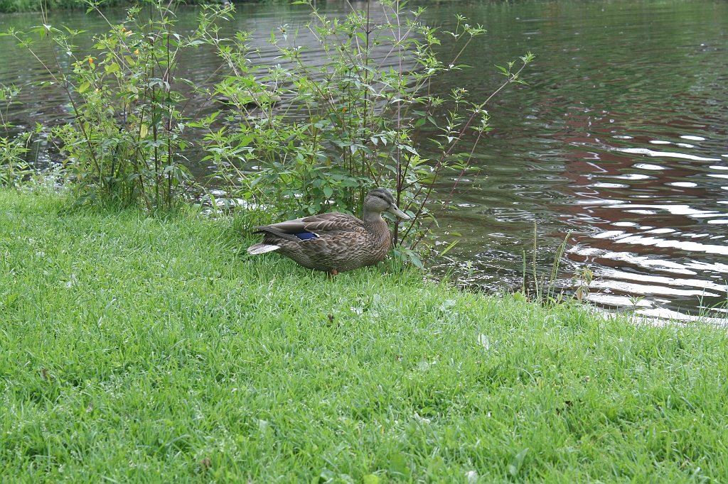 IMG_000089.JPG