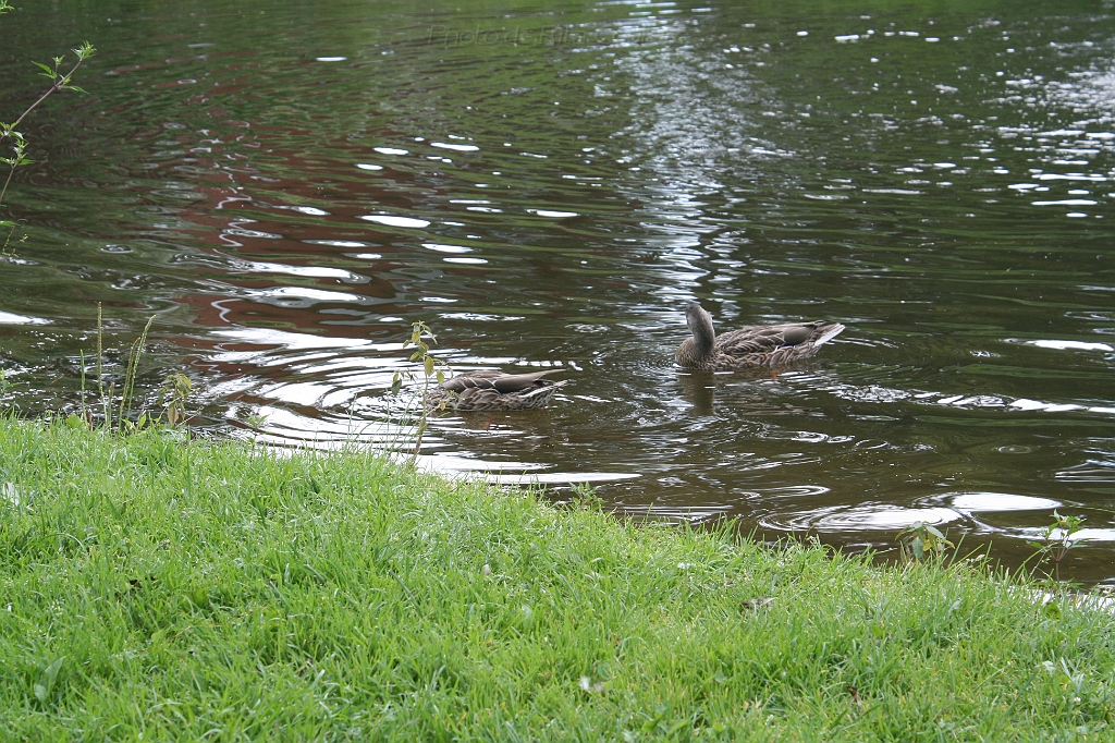 IMG_000091.JPG