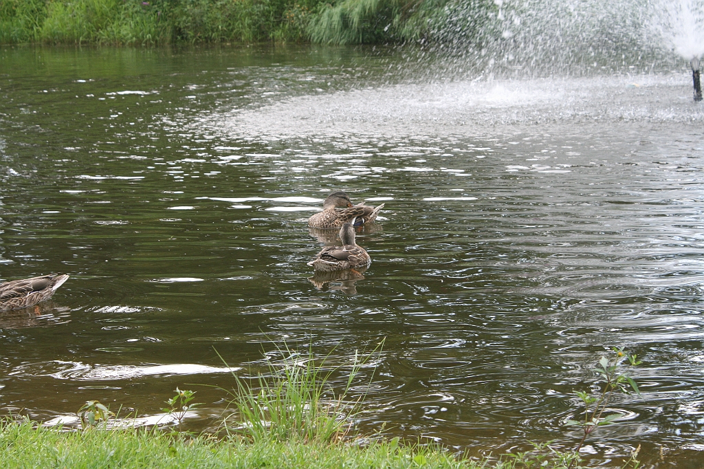 IMG_000092.JPG