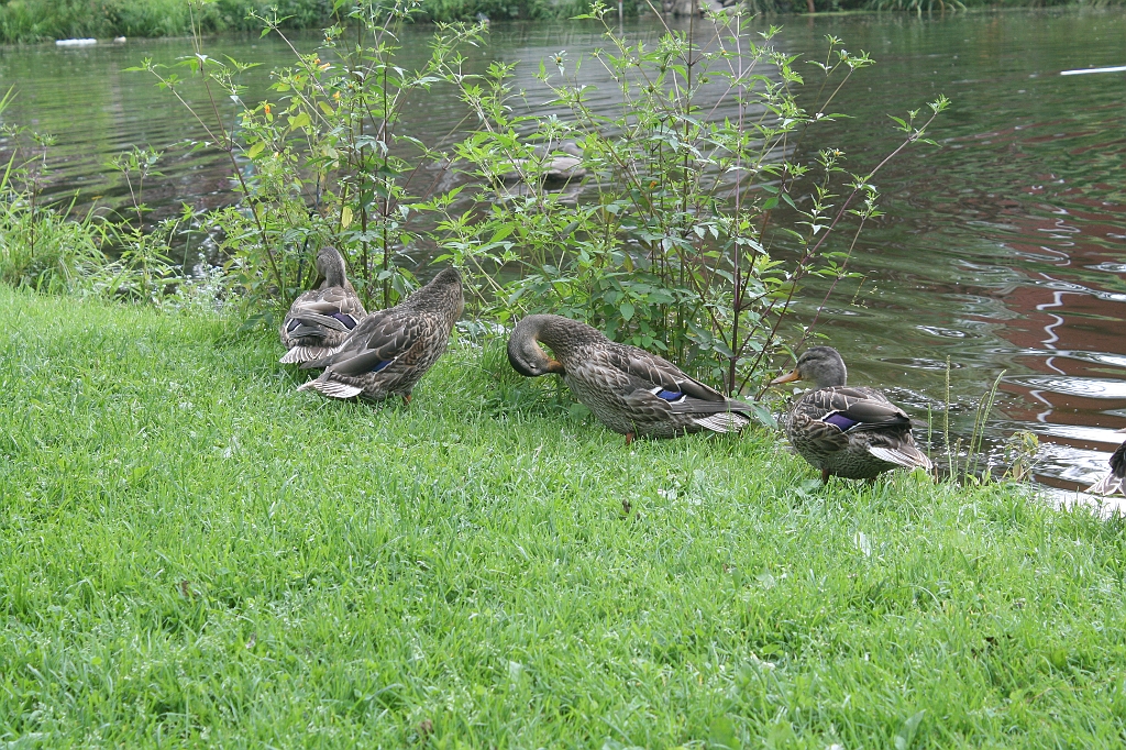 IMG_000105.JPG
