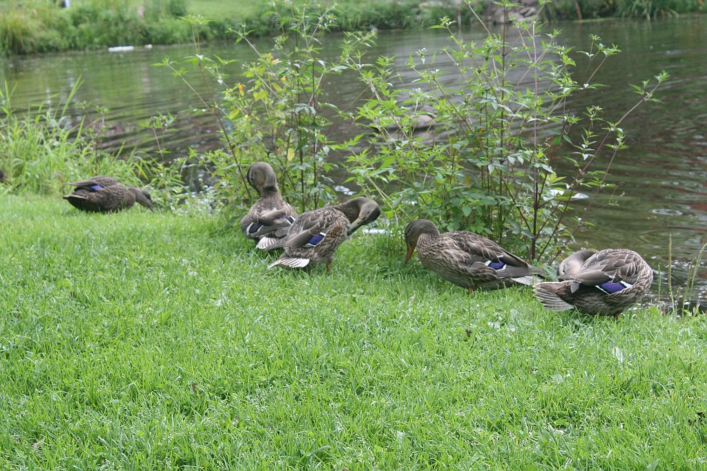 IMG_000112.JPG