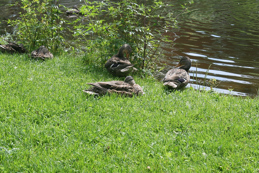 IMG_000119.JPG
