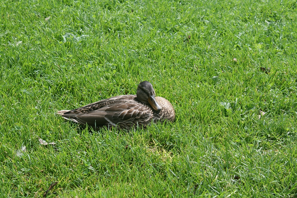IMG_000121.JPG
