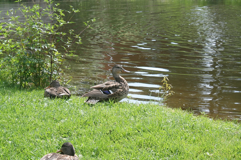 IMG_000128.JPG