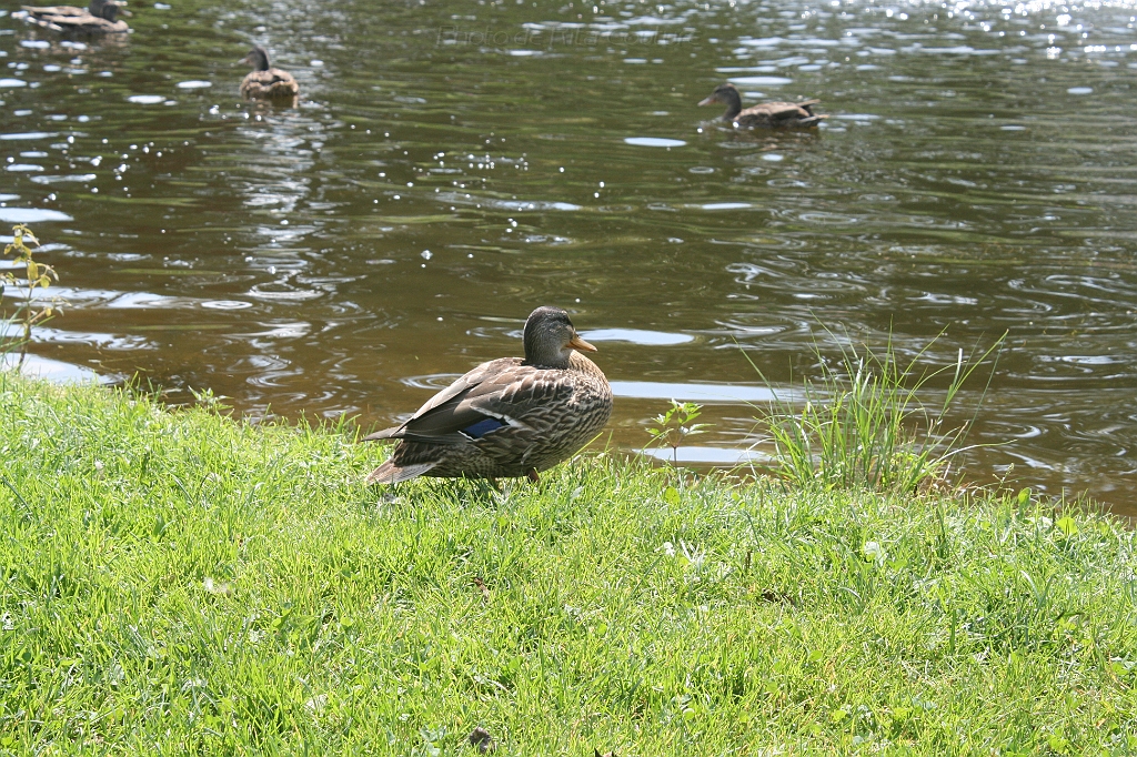IMG_000132.JPG