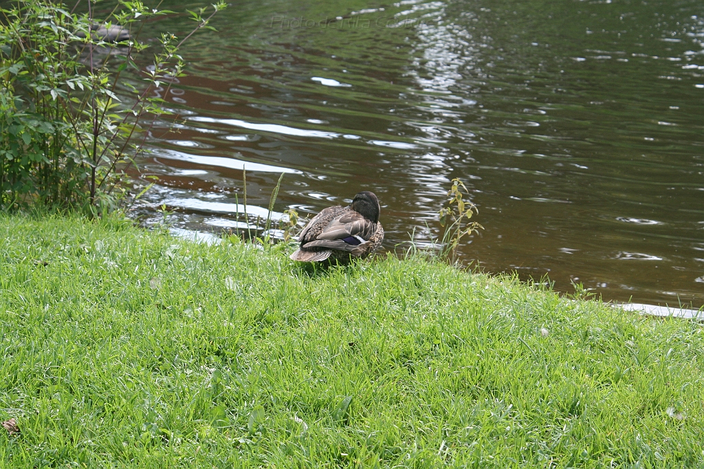 IMG_000141.JPG