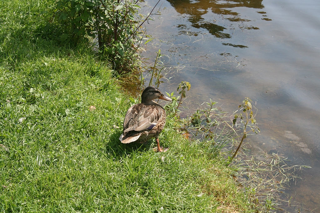 IMG_000143.JPG
